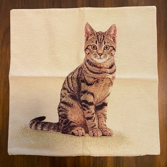 Other - Tabby Cat Pillowcase